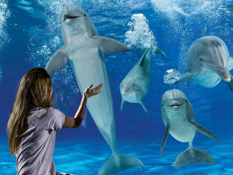 media.Hotel-Lina_Oltremare