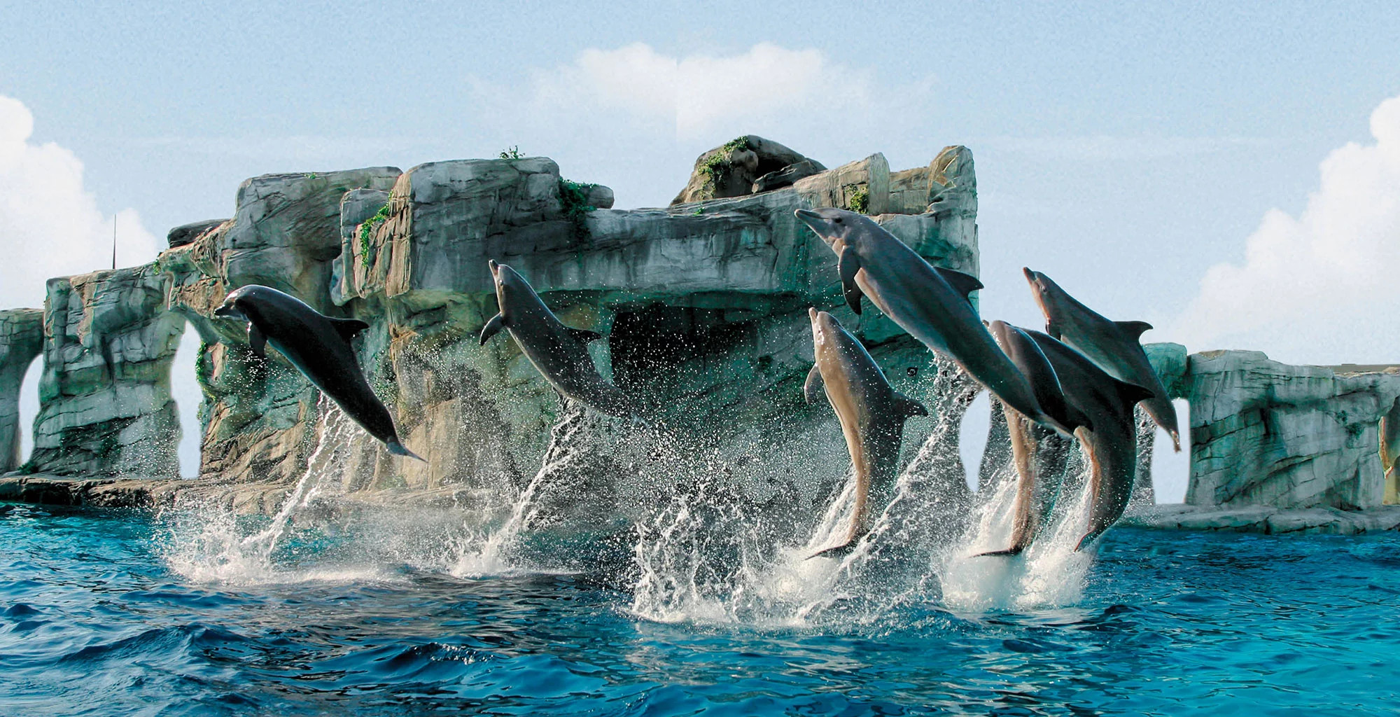 media.Hotel-Lina_Oltremare2